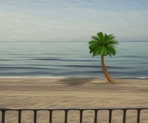 SEO Marbella SEO Marbella