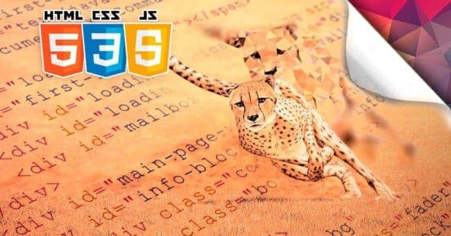 How to optimise the speed of your website